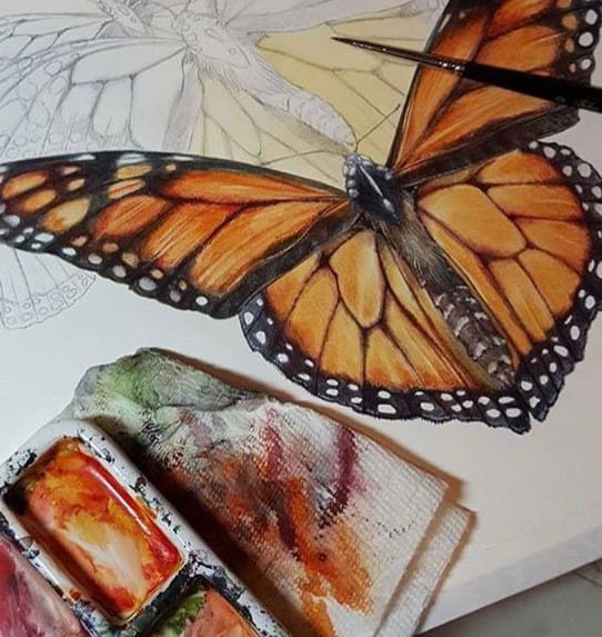 Dibujo de mariposas