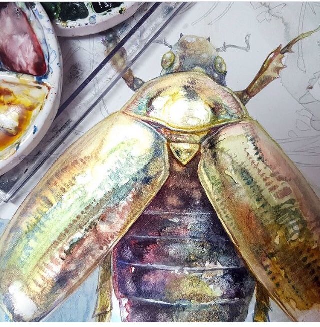 Dibujo de peces