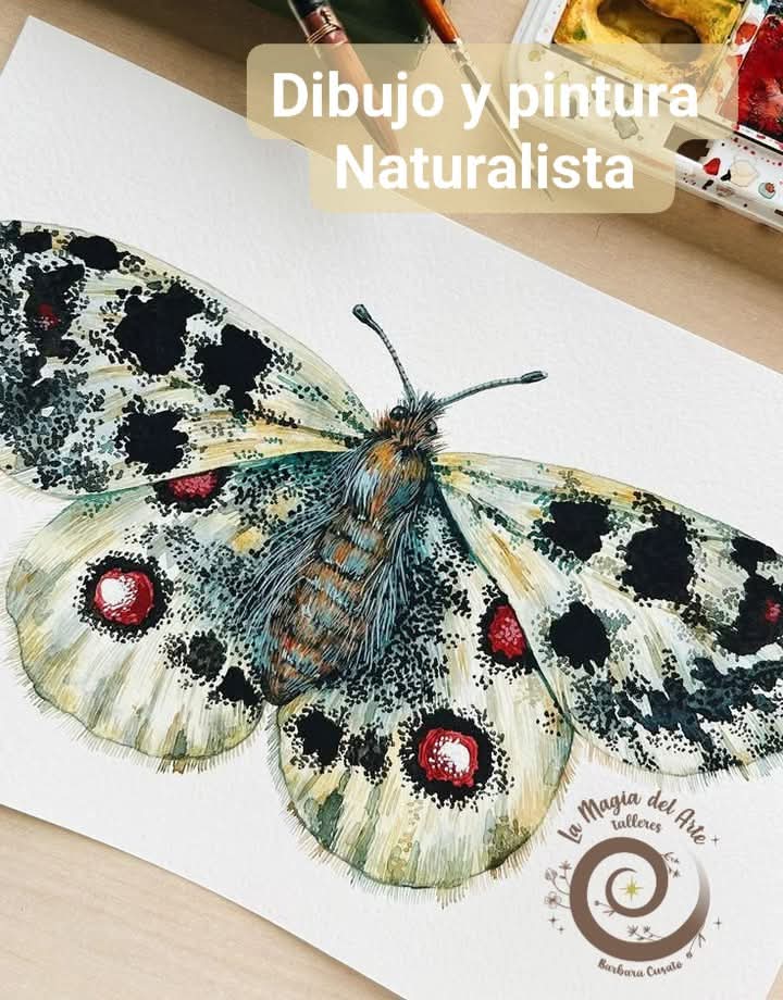 Técnicas naturalistas